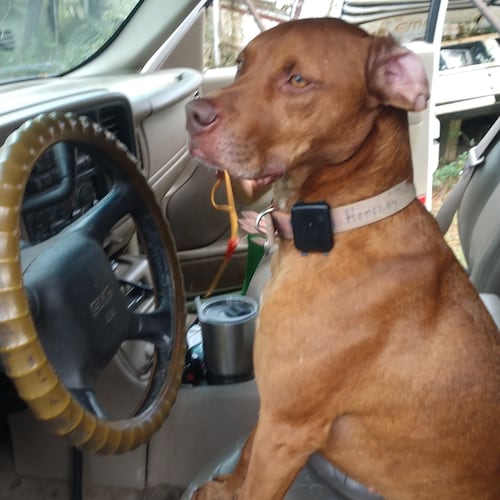 Old as dirt, but still remember what I learned in Boy Scouts, be prepared. 
🍊🍊🍊