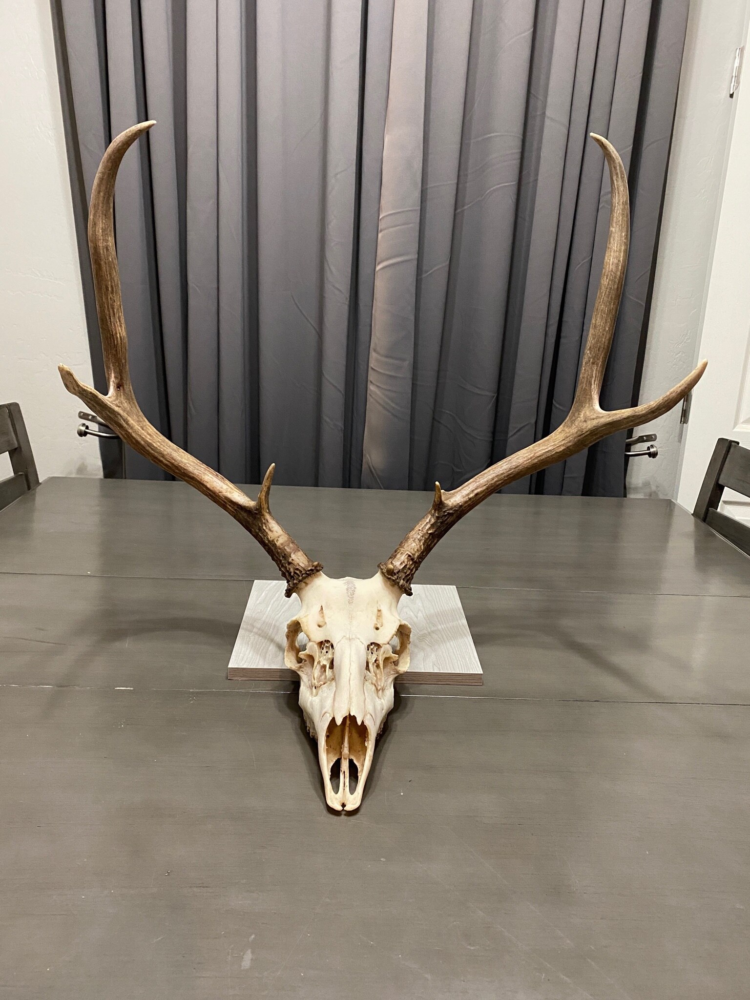 Weekend project completed ✅ 