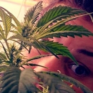 “Anyone who can make you believe absurdities can make you commit atrocities.” Voltaire