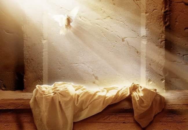 View KristyFrost's post on GETTR. Join the discussion, share your thoughts, and connect with the community.