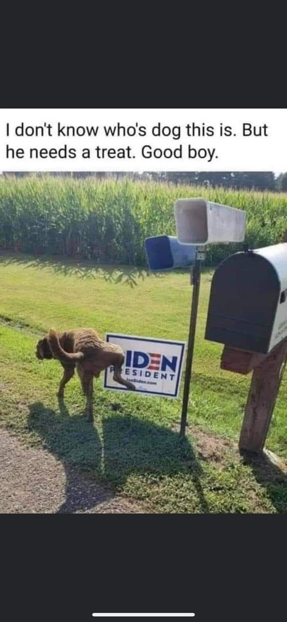 View Tommy HK's post on GETTR. Join the discussion, share your thoughts, and connect with the community.