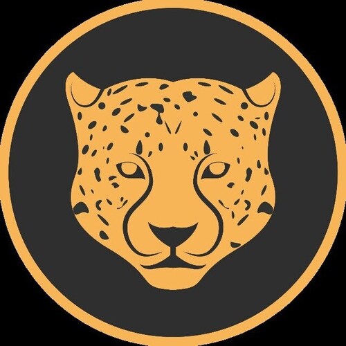 Kitty Kat Coin sponsors 2 cars in NASCAR. We are an ecosystem built for racers. In real life, sim, metaverse, crypto, NF...