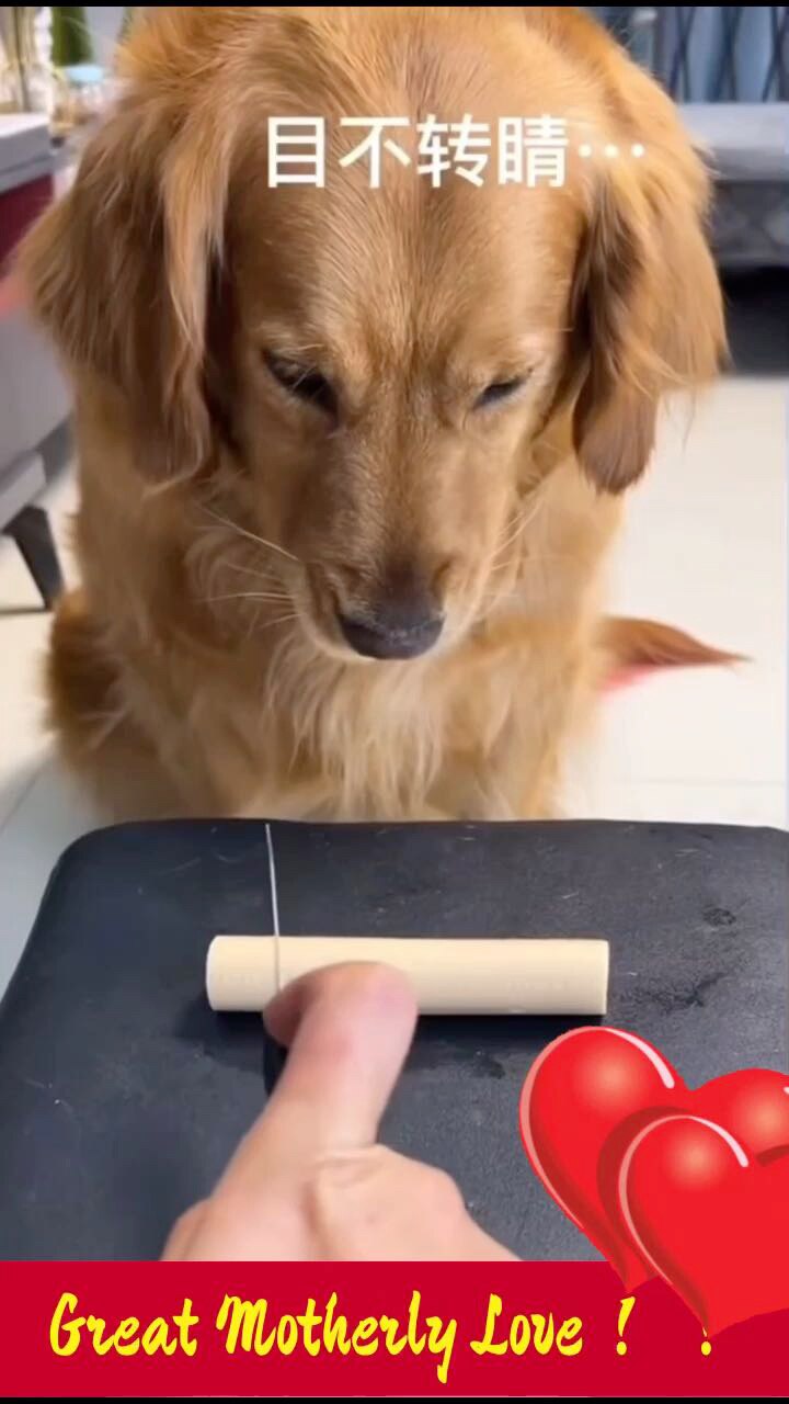 View Get_truth7777's post on GETTR. Join the discussion, share your thoughts, and connect with the community.