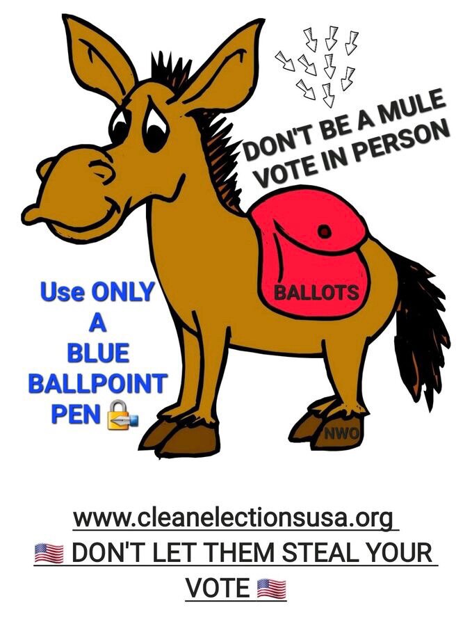 🇺🇸💜VOTERS! 🔥🔥 Make Nov 8, a top priority to vote in person! Miss work; bring kids. Think of it ...