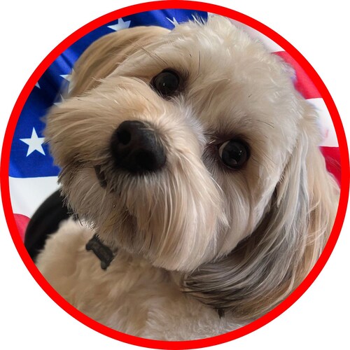 Conservative in California - Pro-life, Pro-Constitution\Catholic, God, Country, married, MAGA, KAG, State of Jefferson, cyclist, on Truth and Gettr. 🚫Bitcoin