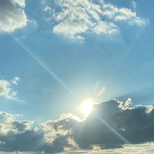 Visit TexansFirst's profile on GETTR. View their posts, photos, videos, and connect with them on the social platform.