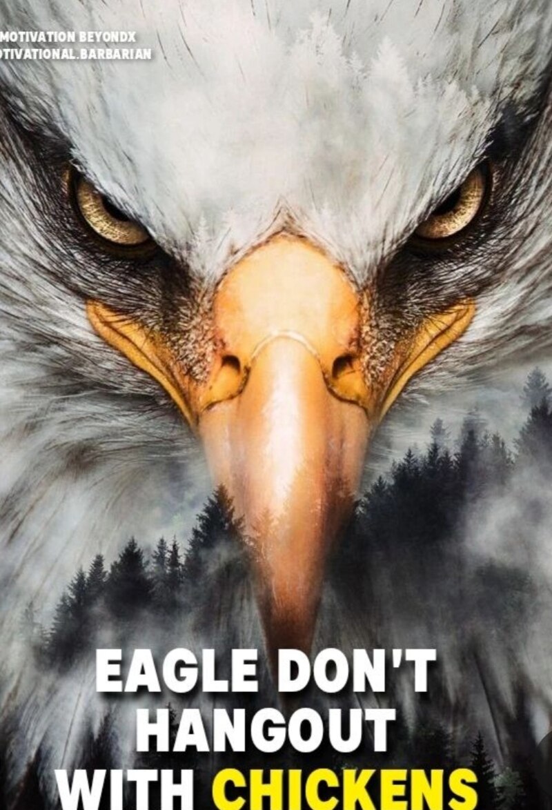 Hey, Alzheimer's Joe to bad you've always been a Chicken💩. I also believe "Corn Pop" whooped your a...