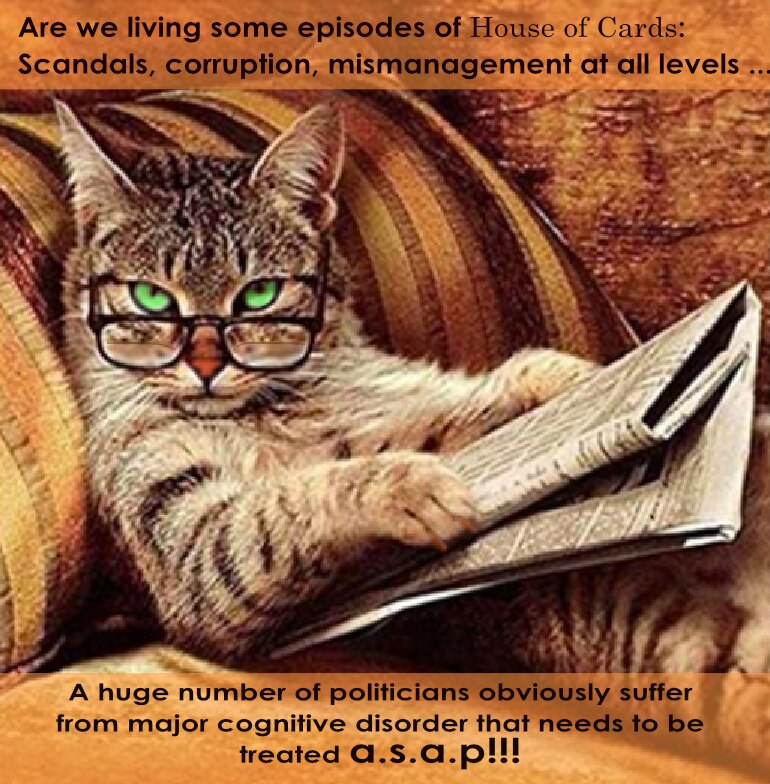 SCHLAUE KATZE | 
"Erleben wir gerade Episoden von 'House of Cards': Skandale, Korruption und Misswir...