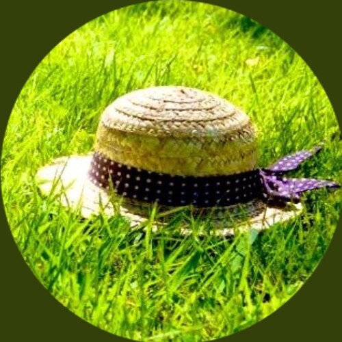 夏大好き女です🌻
無数に重なる偶然があるとしたら…それは、すでに『奇跡の連続』と呼べるのでは無いでしょうか⁉️
少し前からハマってるのは松葉茶でほっこりデトックス🍵✨