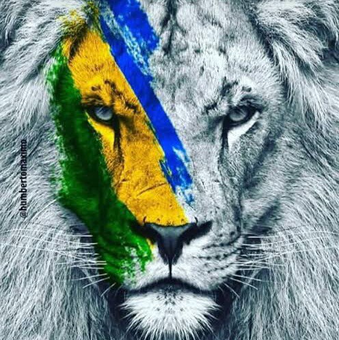 Nossa Bandeira jamais será vermelha 🇧🇷Deus, Pátria, Família & Liberdade