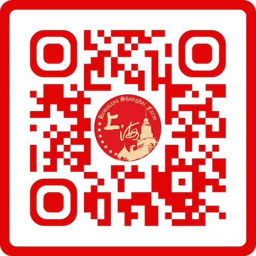 上海农场是我们的家！