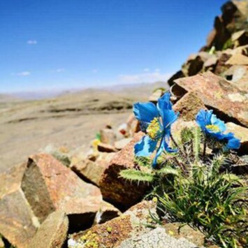 🙏🙏🙏一定会回来！