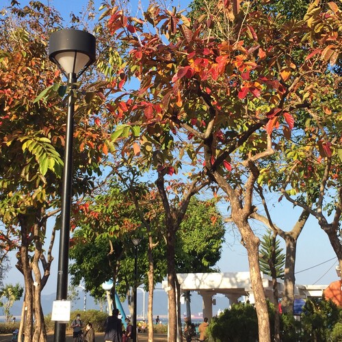 灵魂不要为躯売而活着，活着就要为更好的献奉。