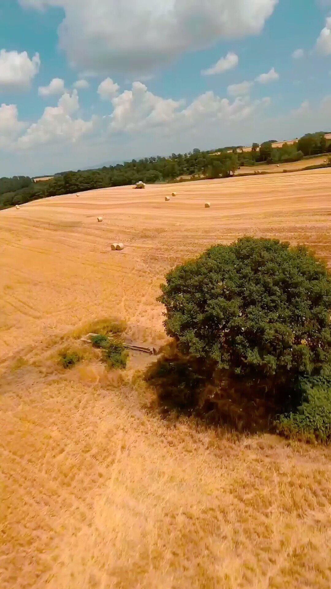 📍Italy 🌾 
🚁RIMZLER

#vision #gettr #gettrlive #gettrofficial
@gettr



 
