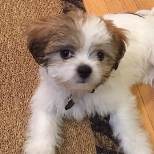 I defend my FAM 🇩🇪🇬🇧🇫🇮🇫🇷🇮🇪🇸🇪 ⚡️⚡️Ready for the next step.