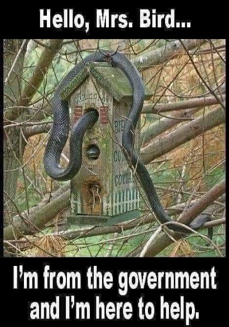 View Karen_Lovejoy 🍊's post on GETTR. Join the discussion, share your thoughts, and connect with the community.