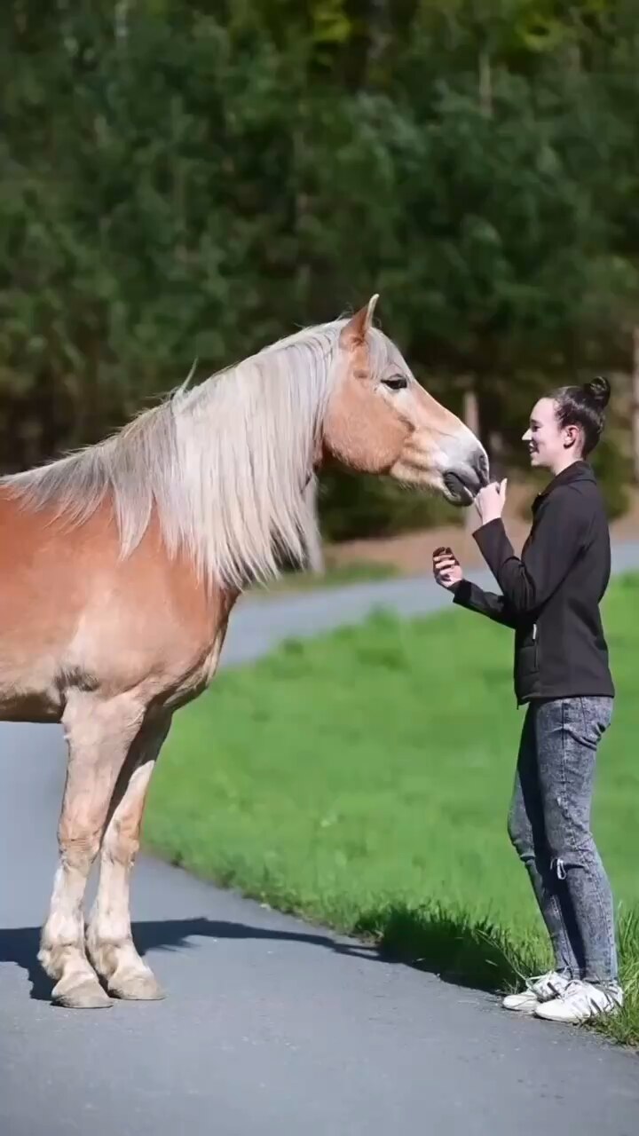 View ☦️🦁⚔ 🆃🆁🅴🅱 ⚔🩸's post on GETTR. Join the discussion, share your thoughts, and connect with the community.