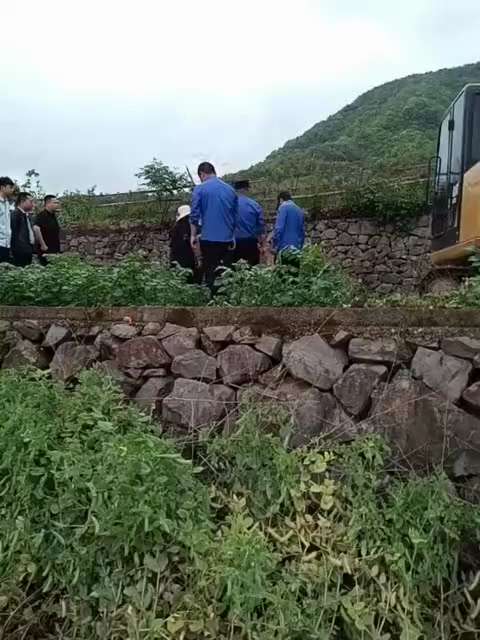 全国各地农村迎来灾难，大批 #农管 疯狂拔庄稼，因种植不规范