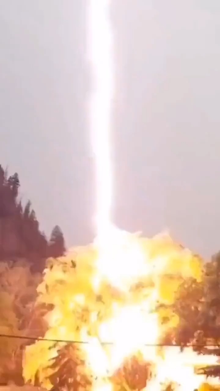 Frank from The NPC Show on GETTR: A tree gets split by lightning
