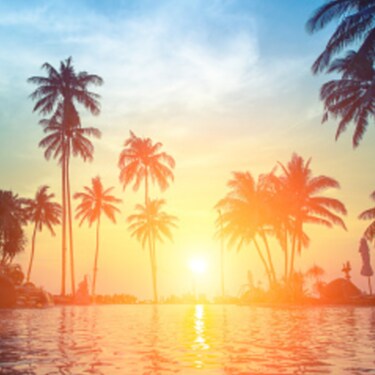 Visit Yedidya!!'s profile on GETTR. View their posts, photos, videos, and connect with them on the social platform.