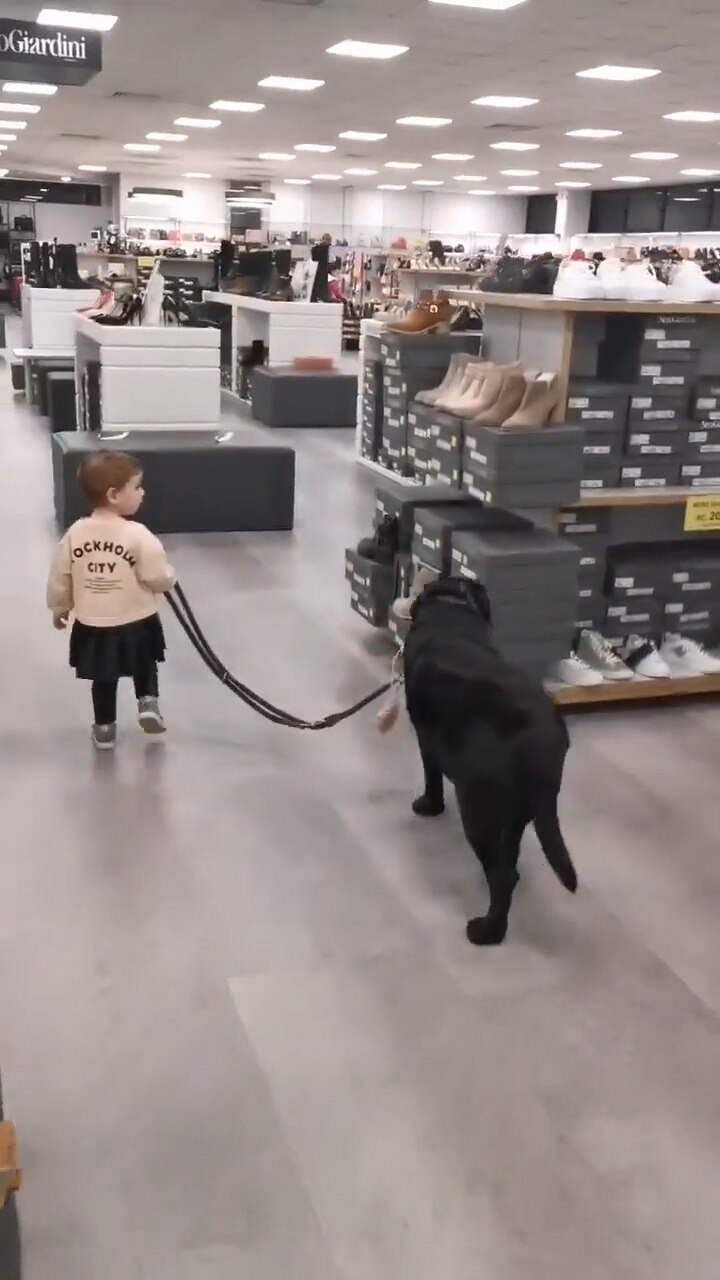 Girl leads black lab through department store
