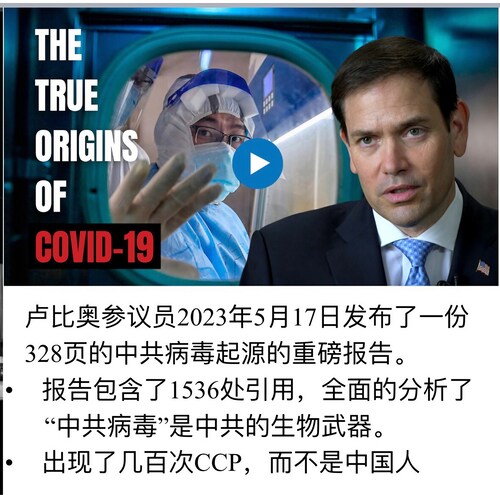 卢比奥参议员2023年5月17日发布了一份328页的中共病毒起源的重磅报告。
•报告包含了1536处引用，全面的分析了“中共病毒”是中共的生物武器。
•出现了几百次CCP，而不是中国人
这正是七哥这几...