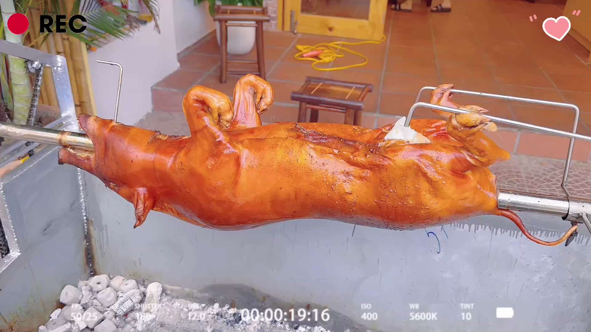 这嘴啊 越来越难伺候了 怎么办#美食探店 #烤乳
猪#同城美食 #美食vlog #网红美食打卡 