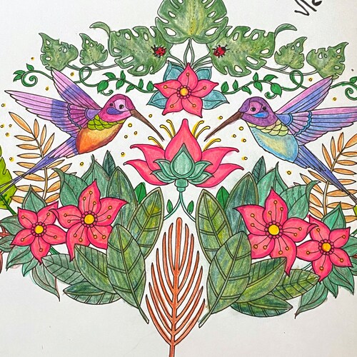 I'm Proud to be  Maga, waiting for my President Trump to come back to  The WH: Action, Action, Action