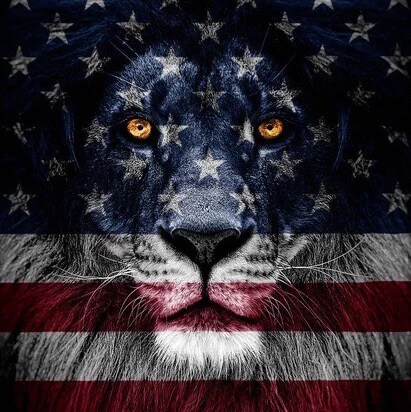 America First Patriot!