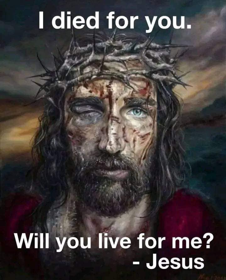 🙏Amen🙏 

