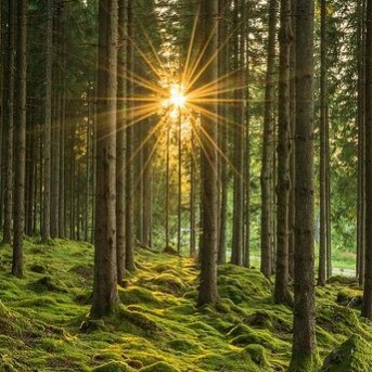 Visit LENNA VIER.'s profile on GETTR. View their posts, photos, videos, and connect with them on the social platform.