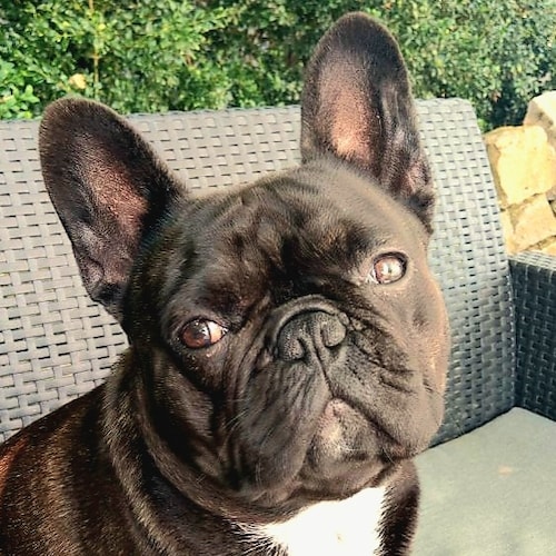 Die Hölle ist leer, alle Teufel sind hier! 
Wer heute Medien zensiert, hätte damals auch Bücher verbrannt! 
🇩🇪💙🇩🇪...