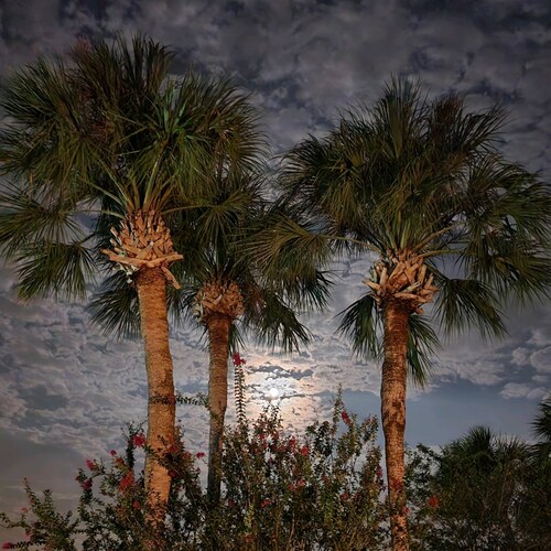 Retired Florida Libertarian.  Living in America's paradise.