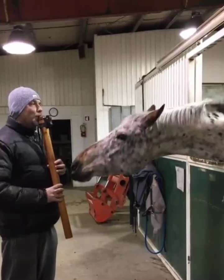 Spiritual call in that flute