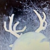 Father, son, brother, husband. Veteran, hunter, land owner. tax payer. Republican.