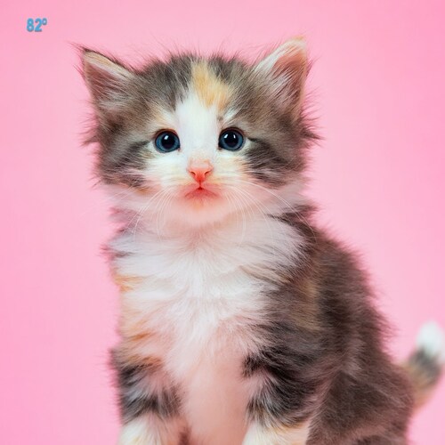 Visit sandytoes10's profile on GETTR. View their posts, photos, videos, and connect with them on the social platform.