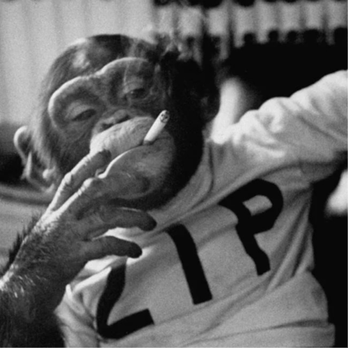 Visit Justin Beller's profile on GETTR. View their posts, photos, videos, and connect with them on the social platform.