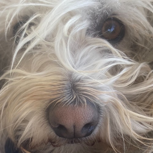 Visit mylittle420's profile on GETTR. View their posts, photos, videos, and connect with them on the social platform.