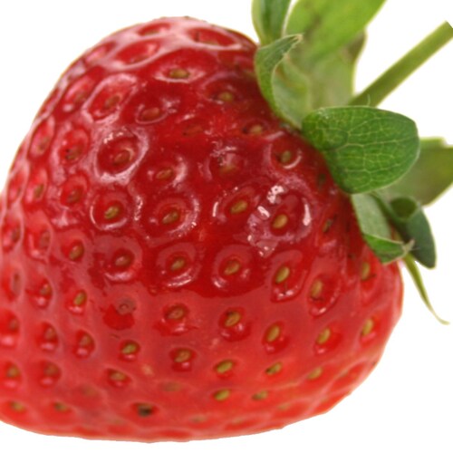 Paul Claybrook MS, MBA, CN - Certified Nutritionist and Fitness Expert