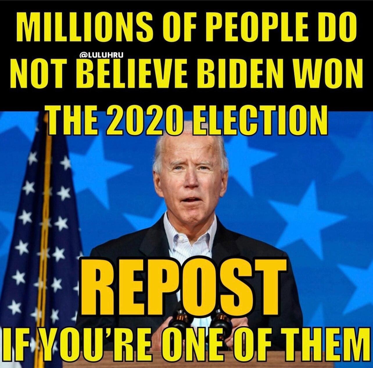 THE DEMOCRATIC PARTY STOLE THE ELECTION IN 2020! 

