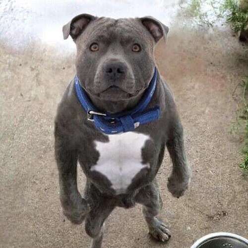 Husband, Dad, Papa
Retired Police Executive
Martial Arts Practitioner 
Conservative Christian
 🇺🇸🇺🇸America First 🇺�...