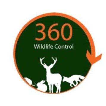 24/7 environmentally friendly pest and wildlife management solutions throughout the UK.