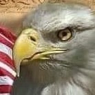 Visit geneomac_1364's profile on GETTR. View their posts, photos, videos, and connect with them on the social platform.