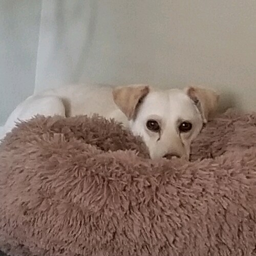 Family
Proud 2nd Amendment Patriot.
Animal lover ❤️ 
Gardening & the Outdoors