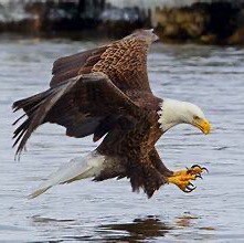 Visit dancinghunter's profile on GETTR. View their posts, photos, videos, and connect with them on the social platform.