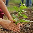 Transform Your Backyard.