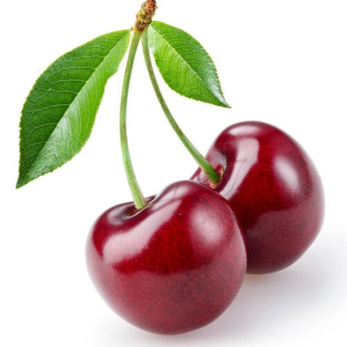 Visit NikoleStac's profile on GETTR. View their posts, photos, videos, and connect with them on the social platform.