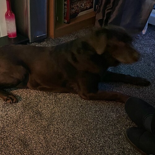 Visit sezandry's profile on GETTR. View their posts, photos, videos, and connect with them on the social platform.