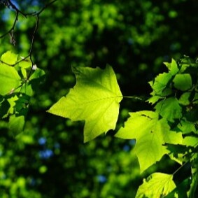 Visit samuelro93's profile on GETTR. View their posts, photos, videos, and connect with them on the social platform.