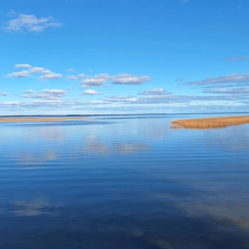 Visit bigbaytroller's profile on GETTR. View their posts, photos, videos, and connect with them on the social platform.